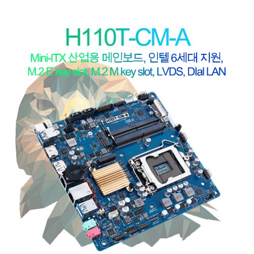 H110T-CM-A